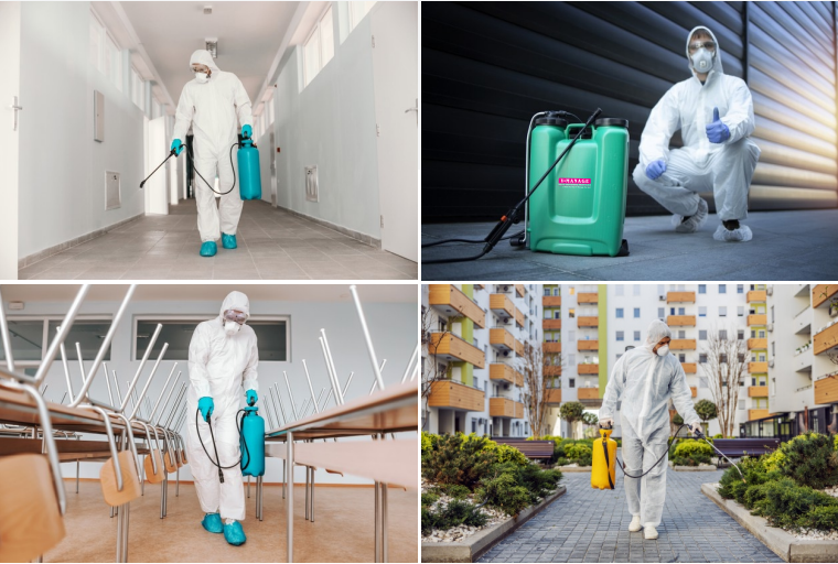 Pest control expert spraying indoors